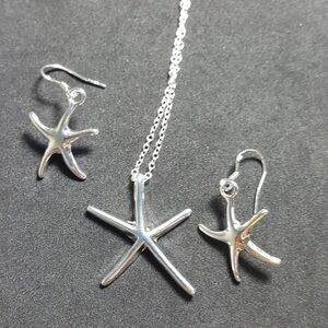 Silver Starfish Jewelry Set